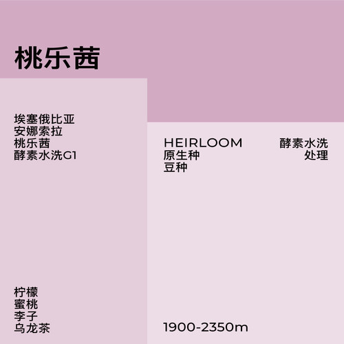 WOKHAY/桃乐茜-蜜桃乌龙埃塞安娜索拉酵素水洗-浅烘 咖啡豆-锅气 - 图0
