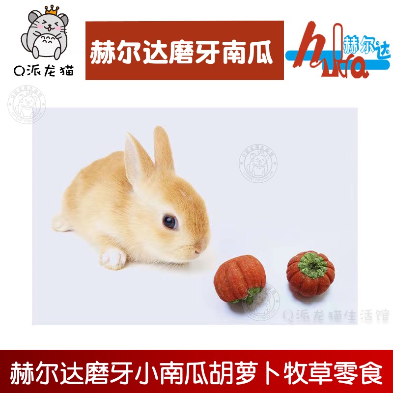 赫尔达小南瓜草饼磨牙零食龙猫兔子豚鼠仓鼠补充营养健齿草块单个 - 图1