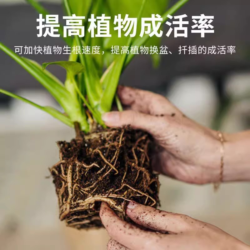 黄荆专用土黄荆腐殖黑土营养土盆栽种植土壤种花泥土养花土有机肥-图0