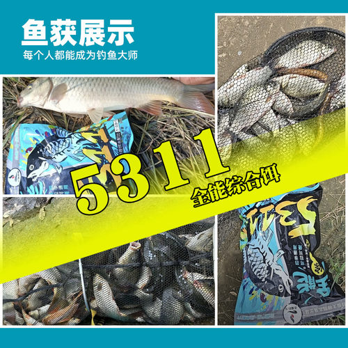 刘志强5311饵料全能香全能腥综合鱼饵鲫鲤草鳊一包搞定官方旗舰店 - 图2