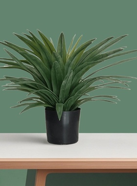 千手剑麻仿真绿植龙舌兰盆栽北欧家居装饰摆件酒店橱窗造景假植物