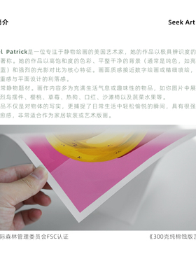 小众艺术家波谱风收藏级高级画芯
