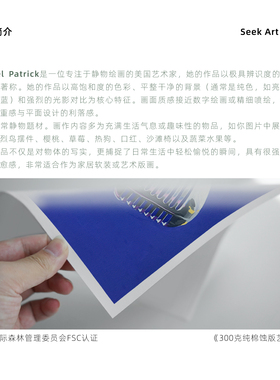 小众艺术家波谱风收藏级高级画芯