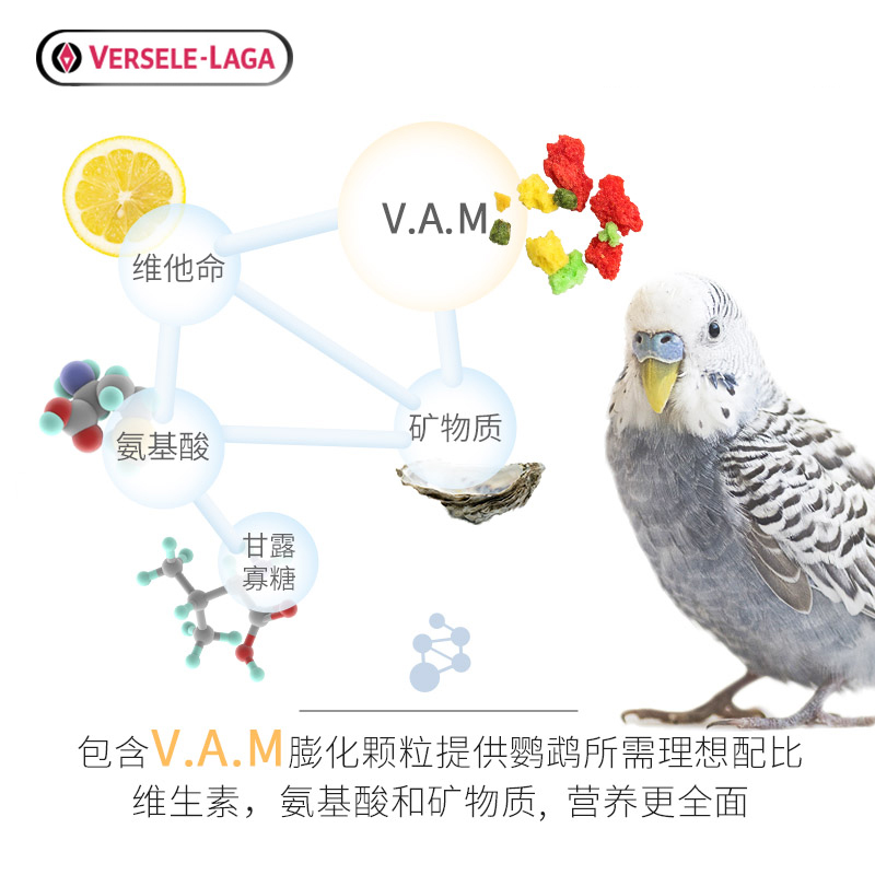 比利时凡赛尔虎皮鹦鹉饲料加纳利子混合鸟粮玄凤小太牡丹谷子鸟食-图1