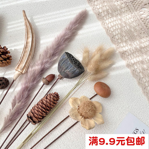diy材料干花花束莲蓬芦苇棉花松果真花风干天然客厅装饰插花摆设 - 图0