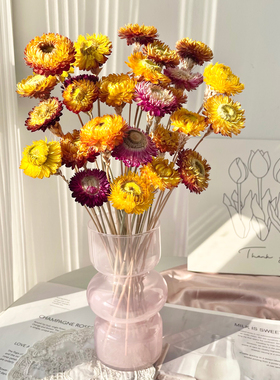 小雏菊云南永生花干花装饰