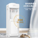Royalstar vertical water dispenser 304 inner tank prevents dry burning