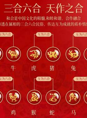 202岁6年太红绳手链本命年六马合生化肖护身符马鼠牛兔红色属手绳