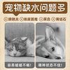 Equatorial Foraging Dogs and Cats Wet Food Snacks Canned Chicken Salmon Dogs and Cats Canned Nutritional Fattening Mixed Food and Hydration