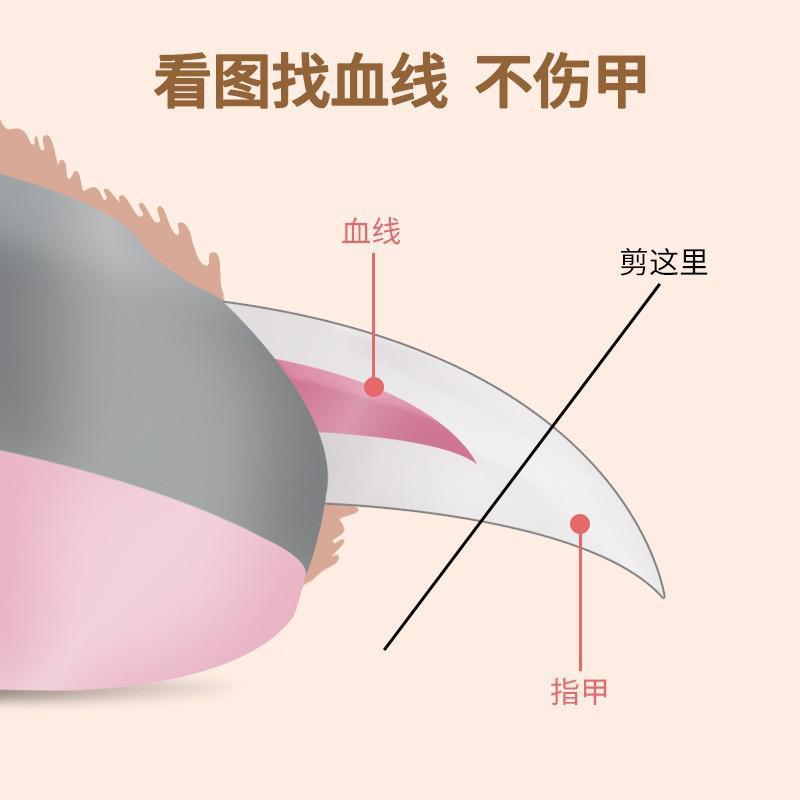 金丝熊仓鼠专用指甲剪指甲钳刀剪爪led灯光找血线防剪伤新手专用 - 图1