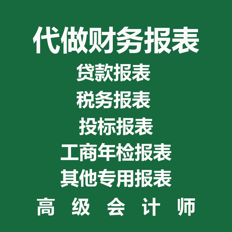 代做财务报表资产负债表利润表损益表现金流量招投标银行贷款制作 - 图0