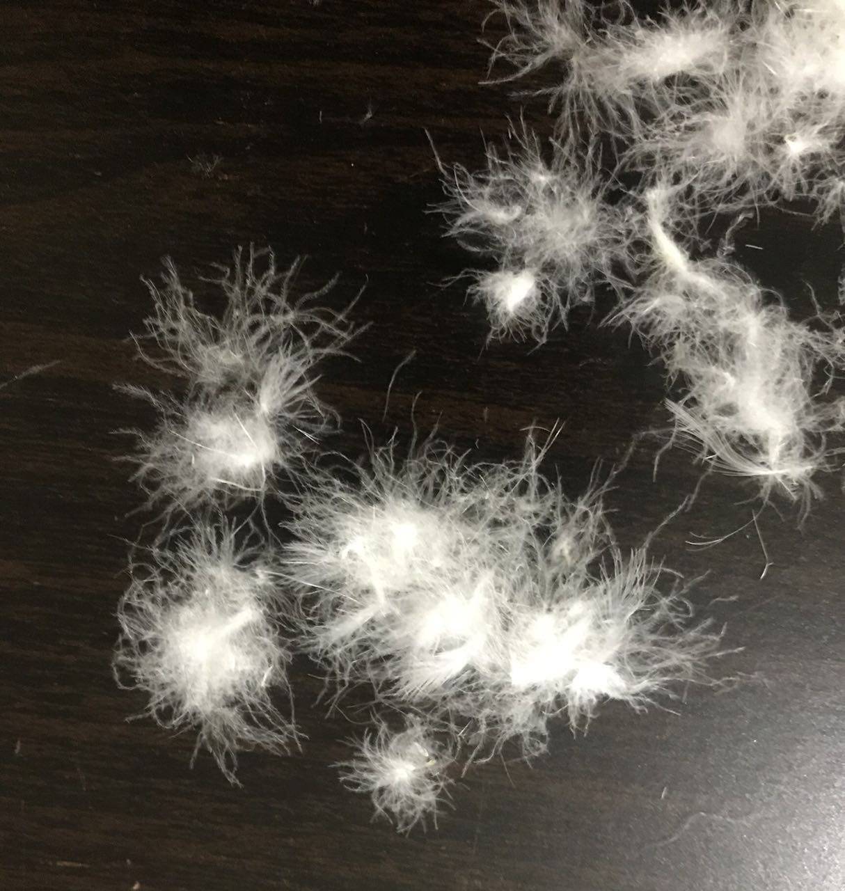 散装羽绒国标90%白鸭绒水洗95%大朵白鹅绒羽绒服羽绒被专用填充物