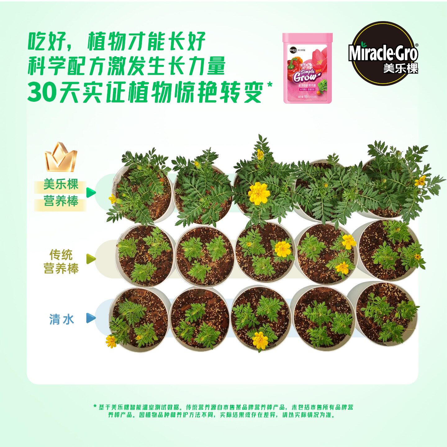 美乐棵缓释肥植物缓释营养棒通用型多肉养花肥绿植发财树花卉肥料,淘宝优惠券,粉丝福利购,淘宝优惠卷
