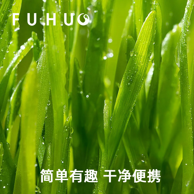 俘获F2狗草犬用狗狗盆栽助狗可以吃化的草毛狗狗草小型犬,淘宝优惠券,粉丝福利购,淘宝优惠卷