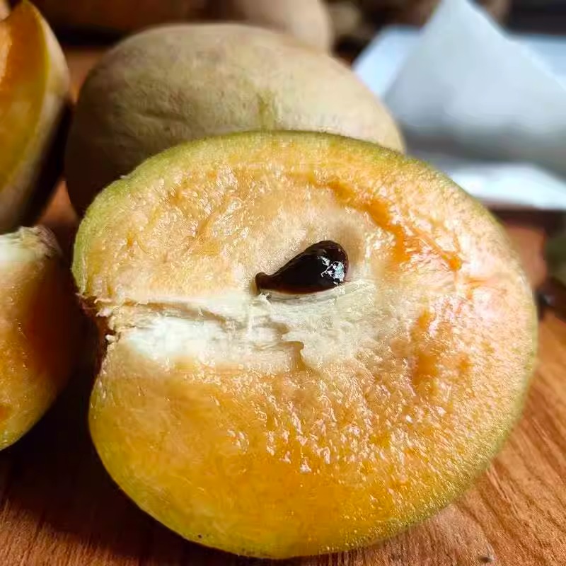 现摘人心果5斤新鲜应当季孕妇水果热带仙人果人参果特产现货速发,淘宝优惠券,粉丝福利购,淘宝优惠卷