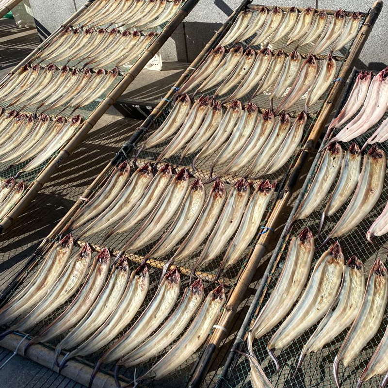 玖舢鲜舟山沙鳗干无刺油淡干沙鳗鲞 玖舢鲜鱼干