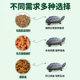 ອາຫານພິເສດສໍາລັບເຕົ່າຈີນ: ເມັດຍາວ, ທາດໂປຼຕີນສູງ, ບໍ່ມີນ້ໍາຂີ້ຕົມ