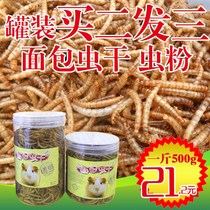 The hamster eats the worms the dried bird the dry and easy to absorb the fish feed hamster the hedgehog.