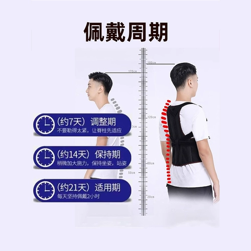 Задняя фиксация ремня позвоночника изгибание позвоночника поясничный отдел позвоночника торакальная грудная грудная грудная грудная грудная грудная клетчатка