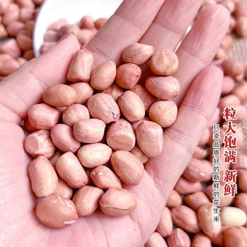 5斤白沙花生米河南特产花生米精选白沙花生大颗粒新货新鲜干货1斤,淘宝优惠券,粉丝福利购,淘宝优惠卷