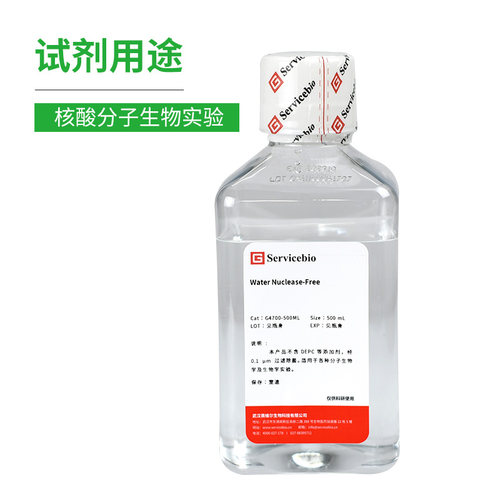无核酸酶蛋白酶超纯水 无酶水 PCR水 Water Nuclease-Free G4700 - 图0