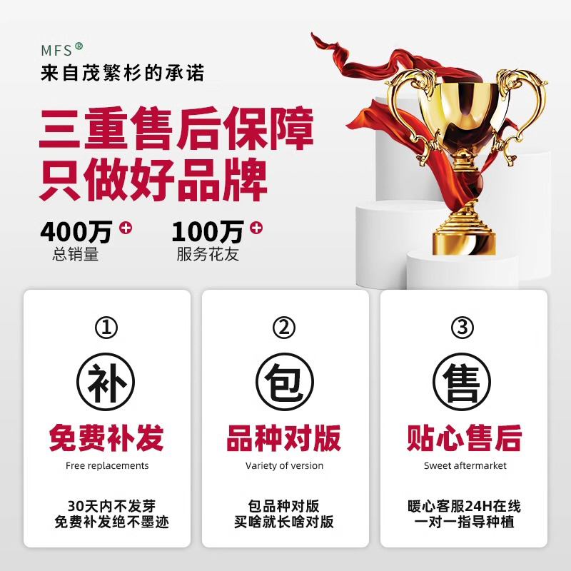 四季草坪种子地毯草种子大叶油草种子大叶油草草籽抗旱固土护坡 - 图3