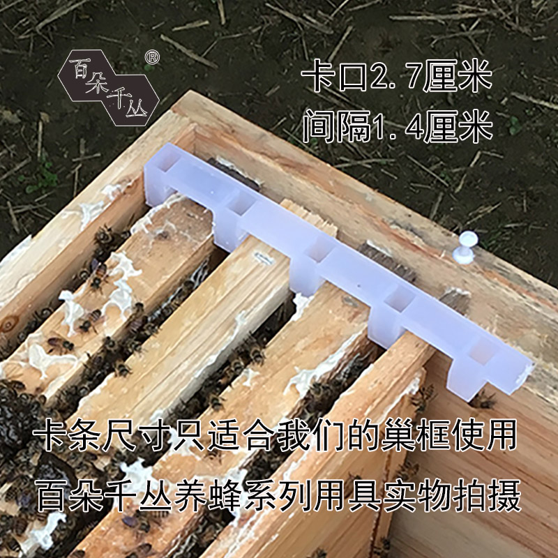 塑料巢框卡条蜂箱巢框养蜂用具中蜂巢础框养蜂专用工具蜜蜂过箱