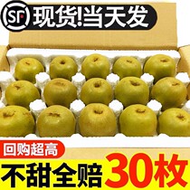 Sichuan Red Hearts Kiwi 30 Loaded Chic Exotic Fruits Fresh season Pregnant Woman Fruits Macaque Peach Big Fruit Whole Box Pujiang