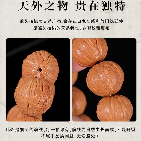 Hericium Wild Bracelet Local Rich Original Seed Dwarf Pumpkin King