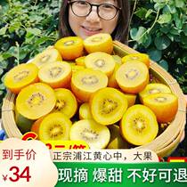 Sichuan Pujiang Grade 1 Yellow Heart Chic Exotic Fruits Fresh 5 Catty Fruits Fruit Chic Exotic Fruit Clay Macaque Peach