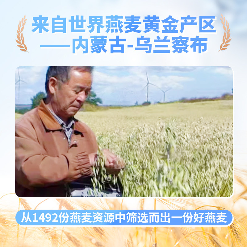 中国农科院世壮无蔗糖纯燕麦片即食免煮原味速溶营养早晚餐冲饮,淘宝优惠券,粉丝福利购,淘宝优惠卷