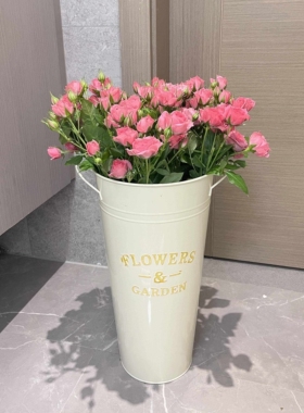 【家居好物】奶油风铁艺醒花桶鲜花桶高颜值花店插花桶桌面装饰品