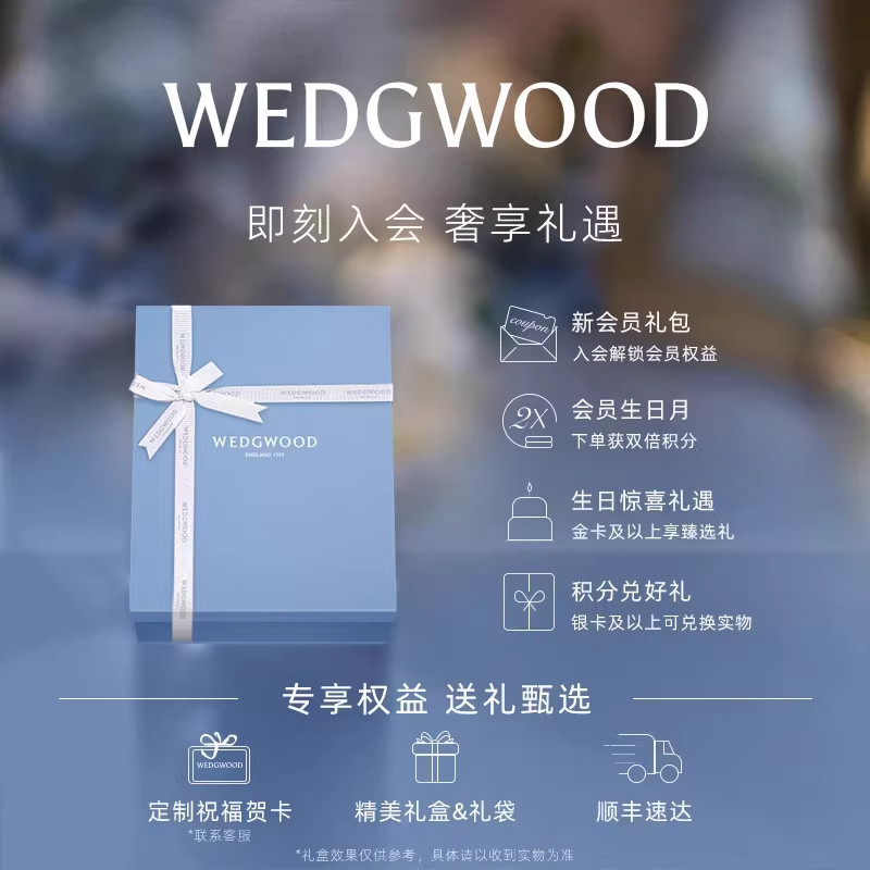 Noritake则武 进口精致骨瓷咖啡杯茶杯碟马克杯轻奢高档送礼礼盒