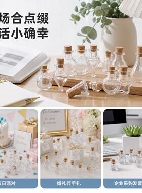 漂流小瓶子许愿木塞玻璃迷你瓶多肉水培金珠粉沫化妆品冻干粉空瓶