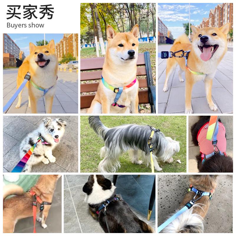 ISPET 宠物胸背带外出狗狗牵引绳背心式狗带小型犬遛狗绳金毛大 - 图1