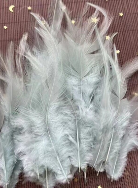 长白尖羽毛鸡毛黄色奢华客厅玩具配件卧室黑色服装布边辅料蓝色