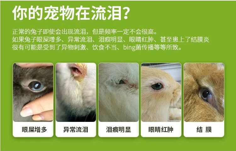 兔子眼药水兔子眼睛发红流泪流脓角膜炎眼屎多眼部清洁护理滴眼液