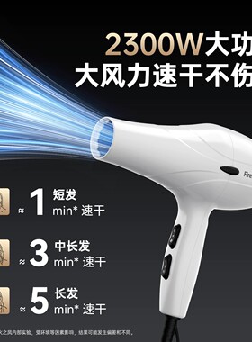 火之凤吹风机3000S家用理发店专用发型师发廊大功率专业造型风筒