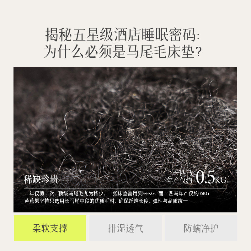 芭蕉果纯手工床垫马尾毛天然羊毛棉双层护脊0胶水mini弹簧可定制,淘宝优惠券,粉丝福利购,淘宝优惠卷