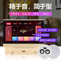 Aspiration Z8 Z10 Background Music System Suit Separation Host Power Amplifier Controller Suction top sound smart home q