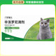 Pharmacy cats and dogs deworming medicines, internal and external small pets, external deworming flea ticks, non-predones drops
