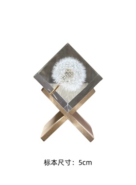 样板间儿童房摆件置物架装饰书木质摆件桌面装饰书售楼处软装饰品