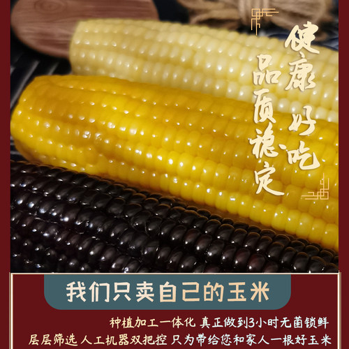山西忻州青玉甜糯玉米无添加代餐黑糯黄糯白糯玉米三色混合装12根 - 图1