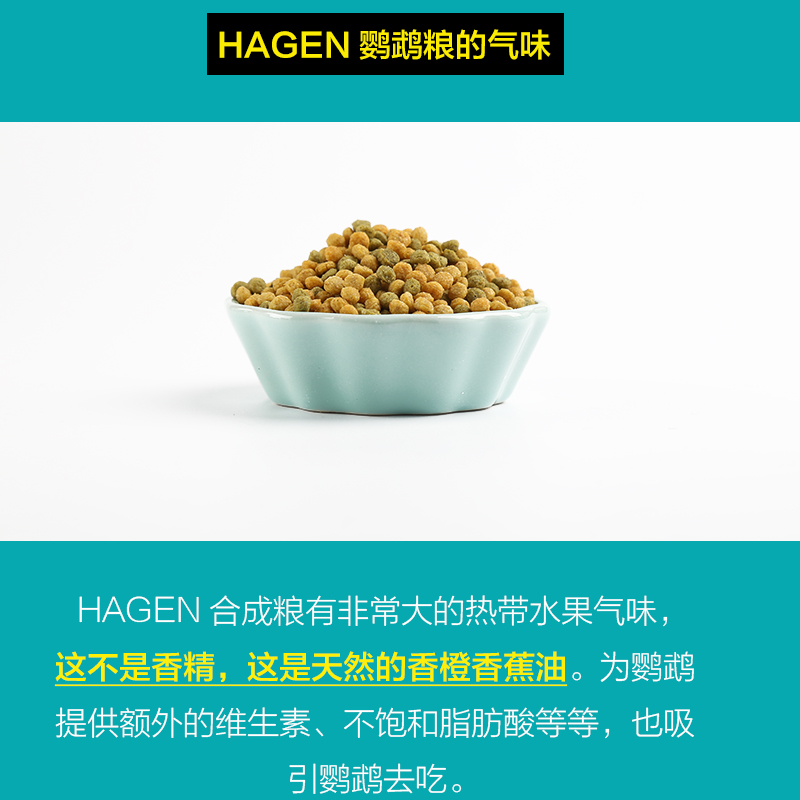 HAGEN哈根哈利鹦鹉滋养丸牡丹玄凤饲料水果鸟粮试吃日常迷你颗粒-图2