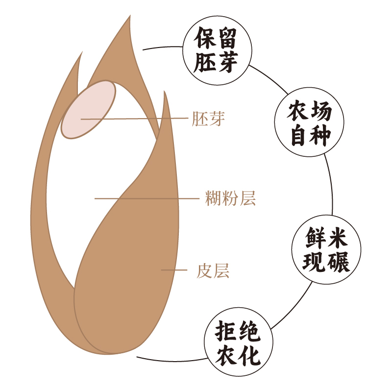 香畴生态糙米健身主食杂粮米糙米饭粗粮主食孕妇五谷杂粮1kg谦益 - 图0