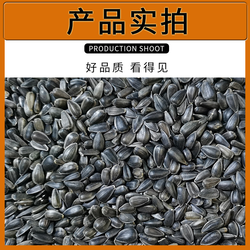 牡丹虎皮鹦鹉饲料小瓜子油葵籽鸟粮宠物鸟食仓鼠零食一斤装鸟零食,淘宝优惠券,粉丝福利购,淘宝优惠卷