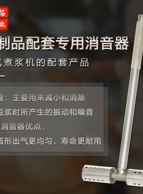 蒸汽锅炉不锈钢消音声器