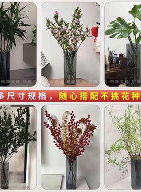大口径水培专用器皿龟背竹花盆