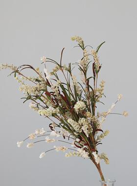 仿真花仿干花环保纸草花假花摄影