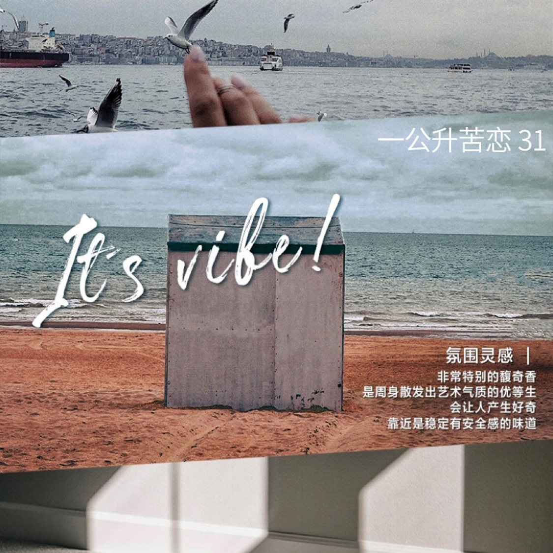  INSVIBE氤未香水套装